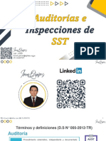 Auditorias e Inspecciones SST