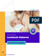 Curso Lactancia Materna