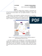 Si1 Tarea2 Rogelioguadarrama