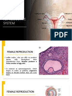 Female Reproductive Anatomy and Physiology: Ovaries, Uterine Tubes, Uterus, Menstrual Cycle