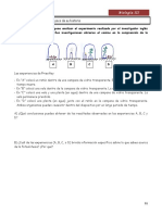 Historia y procesos de la fotosíntesis