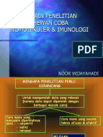 Desain Penelitian Hewan Coba Biomolekuler & Imunologi