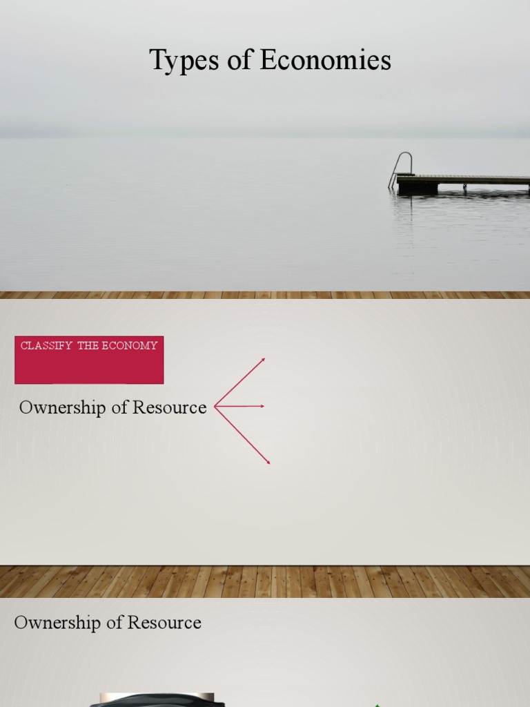 Types of Economies PDF Capitalism Resource