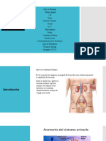 Enfermería Medica Quirúrgica