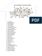 Estructuras Rad Panorámica