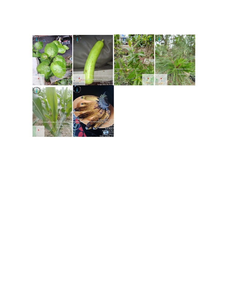 Gambar Histologi Biology Diagrams