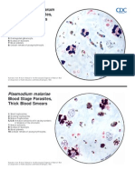 Color Atlas of Malaria