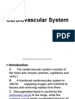 L5Circulatory System