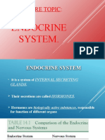 Lecture Topic:: Endocrine System