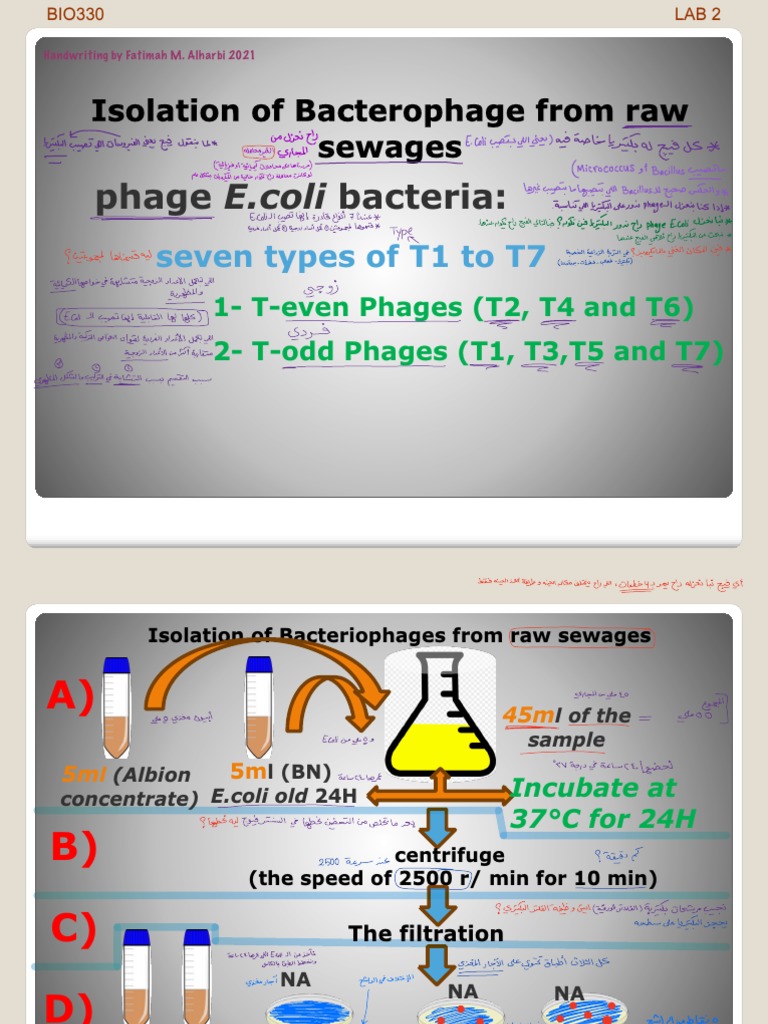Virology LAB Presentation | PDF | Microorganism | Microbiology