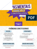 DIREITOS FUNDAMENTAIS E FENÔMENOS CONSTITUCIONAIS