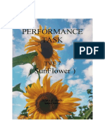 Performance Task - Sunflower