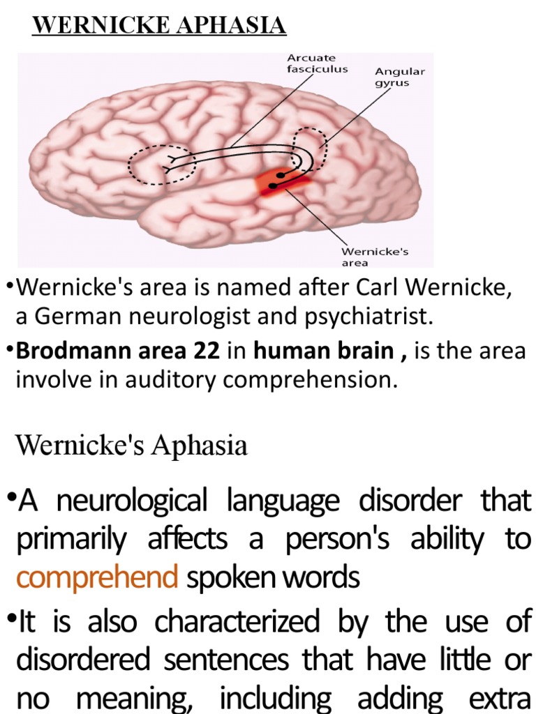 Wernicke Aphasia Lec | PDF | Aphasia | Speech