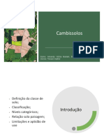 Cambissolos PDF