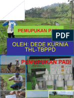 Pemupukan Padi