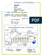 A Summary of Carbohydrates and Proteins