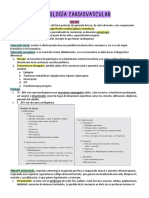 Semiología Cardiovascular Pediatría