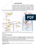 Teorico 4 Ictericia