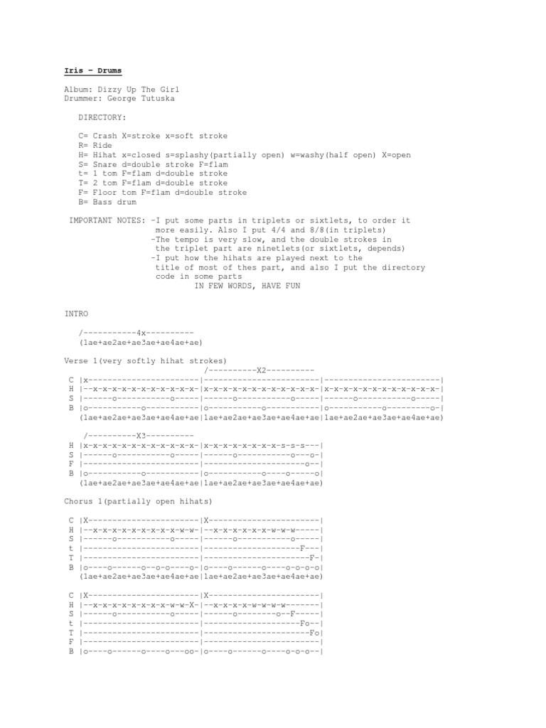 Iris Drums PDF Drum Kit Rhythm And Meter