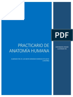 Practicario Anatomía Humana