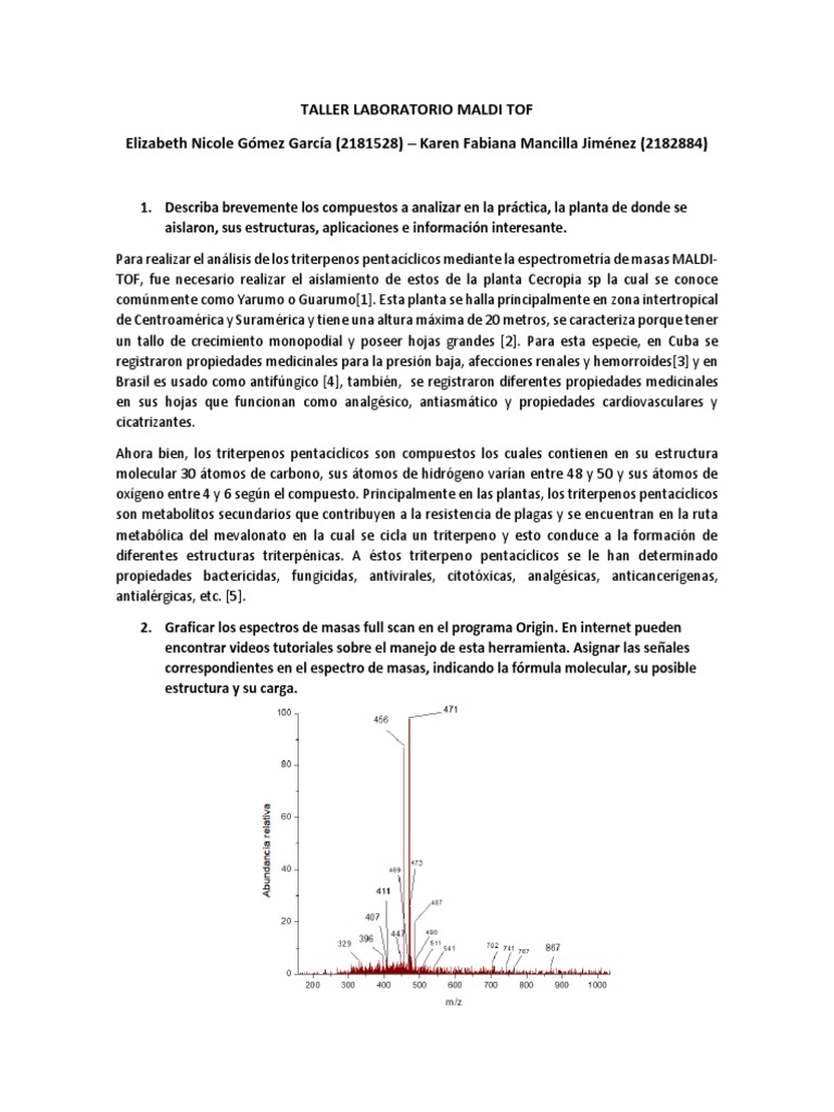 Taller Laboratorio Maldi Tof | PDF | Espectrometría de masas | Moléculas