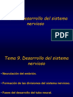 Tema 9 Desarrollo Del SN