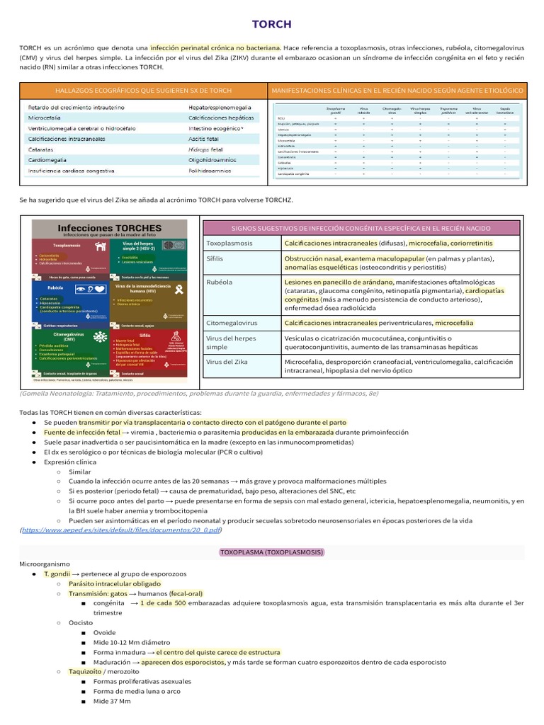 Infecciones TORCH y su impacto neonatal | PDF | Herpes Simple ...