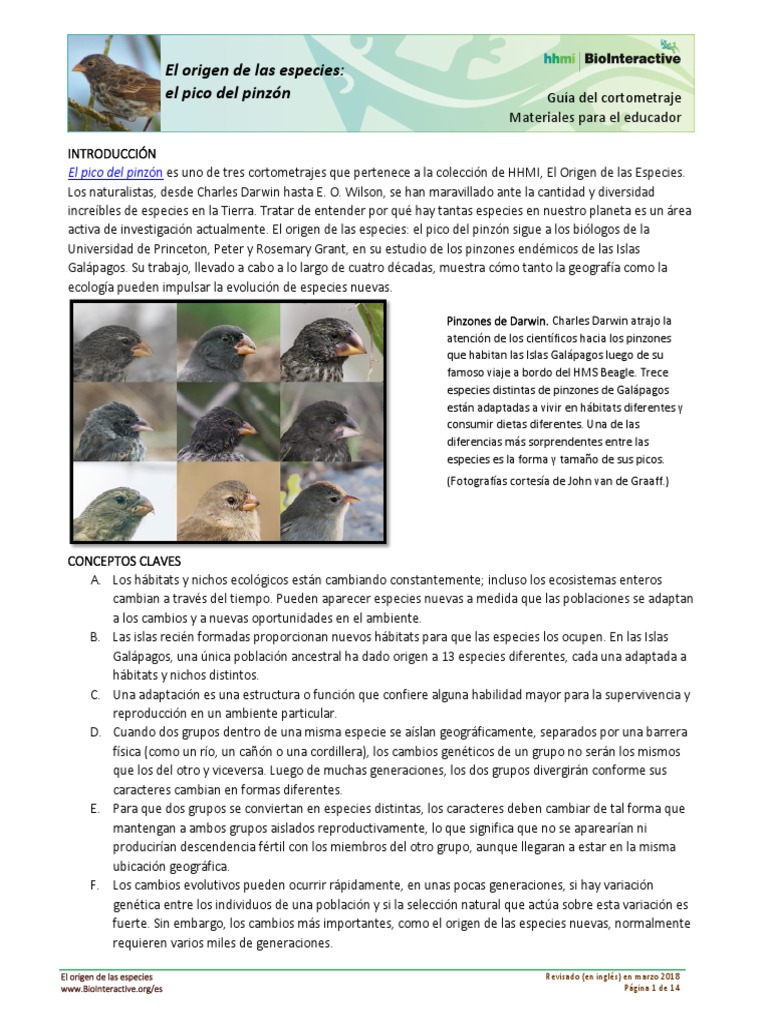 Origin of Species Beak of The Finch Film PDF En