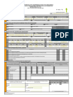 F-462v1 DICTAMEN SERV INTERNALES