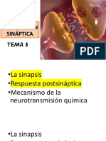 Parte 1. TRANSMISIÓN SINÁPTICA