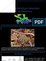 Características de Las Bacterias