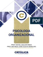 Livro+de+Psicologia+Organizacional