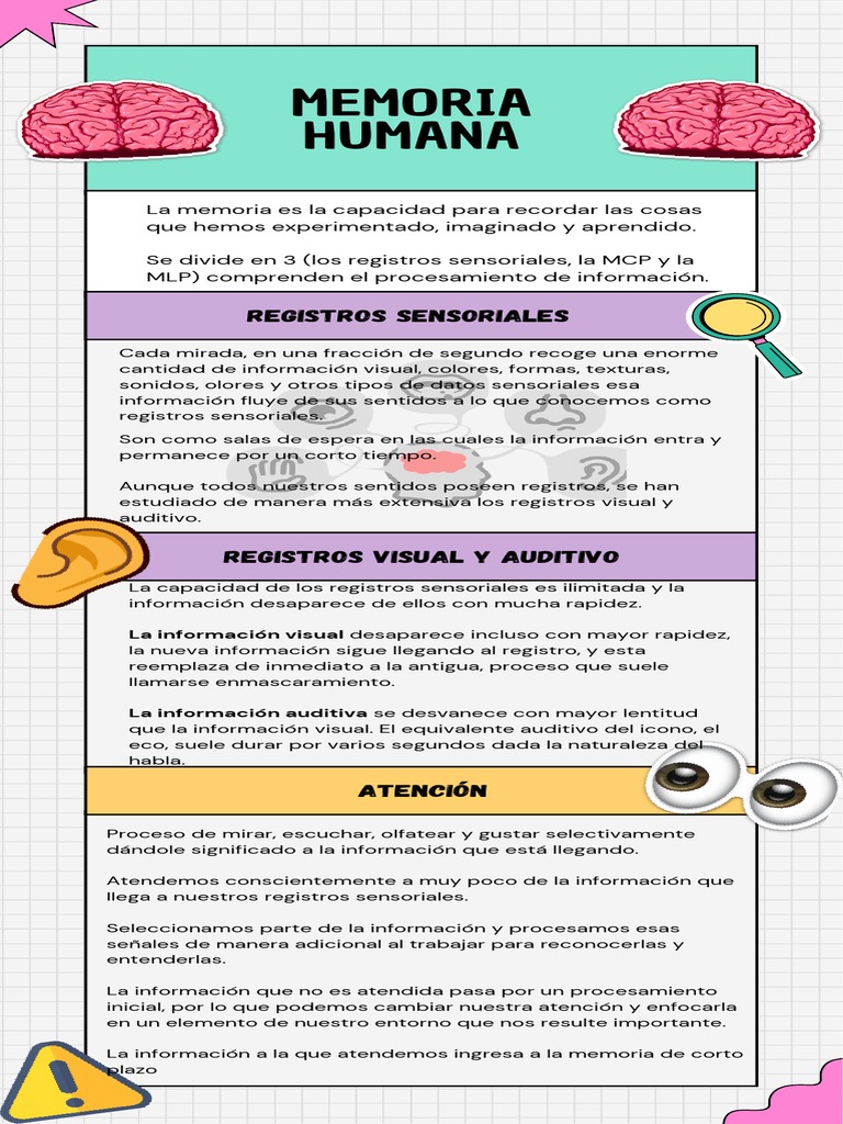 Memoria Humana PDF Memoria Información
