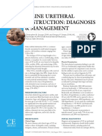 Feline Urethral Obstruction: Diagnosis & Management