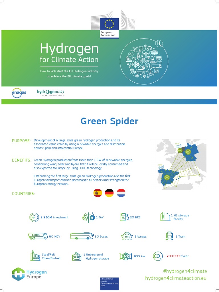 Green Spider Project | PDF | Business | Science & Mathematics