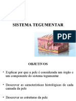 Sistema Tegumentar: Estruturas e Funções da Pele