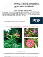 Paper 7 - BOS PDF
