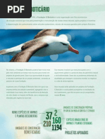 amostra_FUNDACAO_laminasdecaptacao_100225