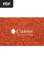 Amostra PROJETOV Relatorio Conceito 110420