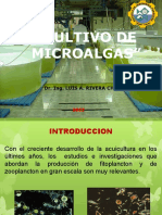 Cultivo microalgas acuicultura