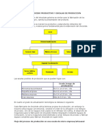 FLUJO DEL PROCESO PRODUCTIVO Y ESCALAS DE PRODUCCION