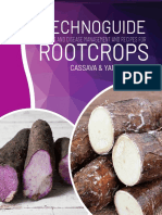 Cassava and Yam Production and Management Tecnoguide