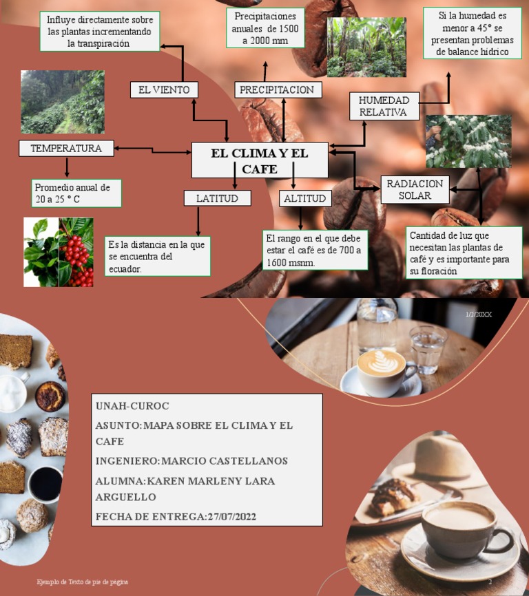 Mapa Cafe | PDF