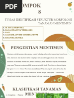 KELOMPOK 8 PPT MENTIMUN