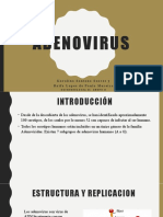 Adenovirus Pronto