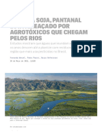 Pantanal