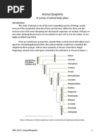 Animal Blueprints Lab Manual