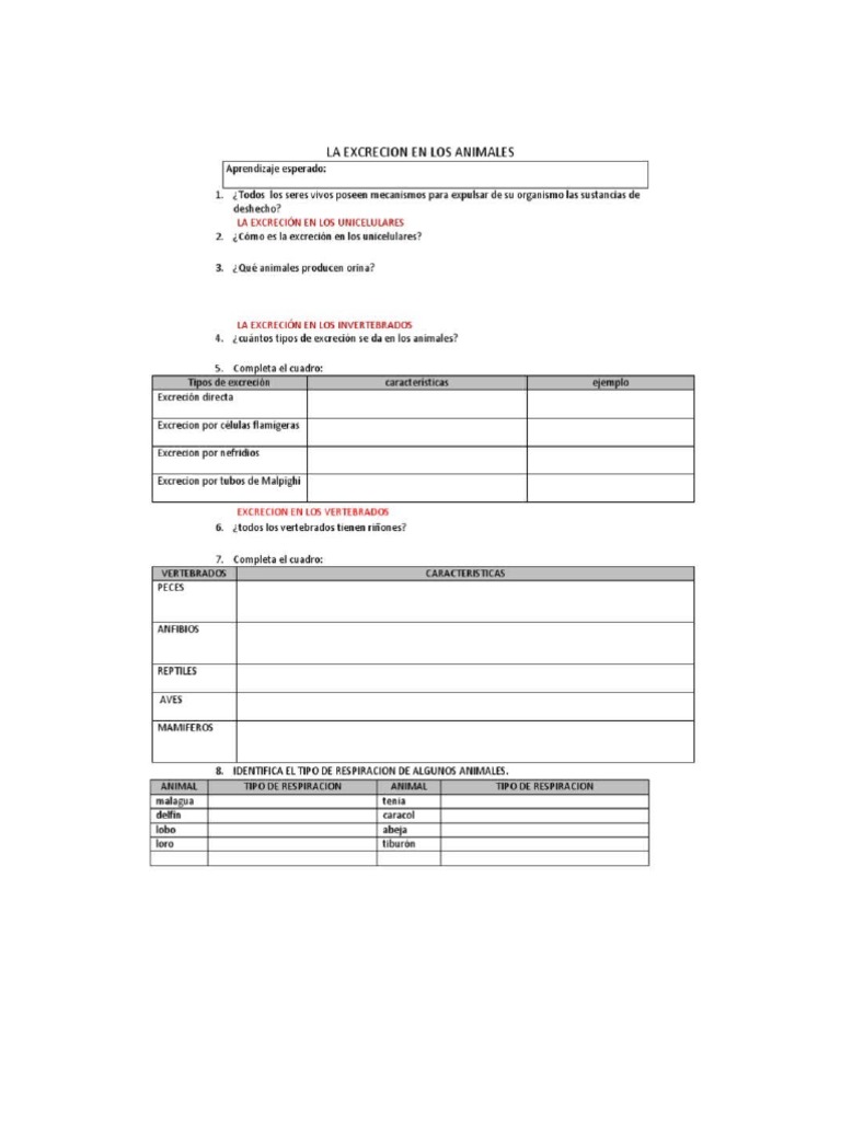 yyy-pdf