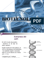 ADN Estructura y Función