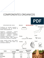 Componentes orgánicos del suelo: microorganismos y procesos de transformación